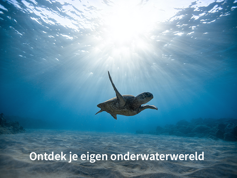 Ontdek je eigen onderwaterwereld