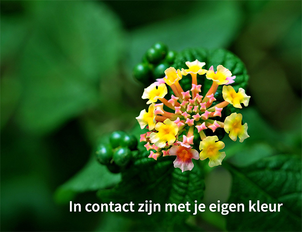 In contact eigen kleur