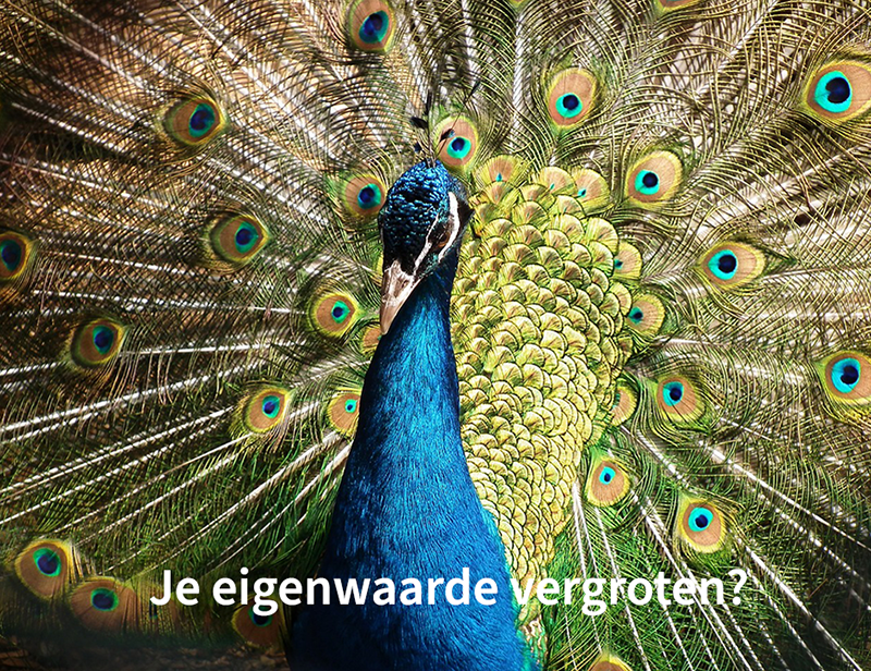 Je eigenwaarde vergroten?