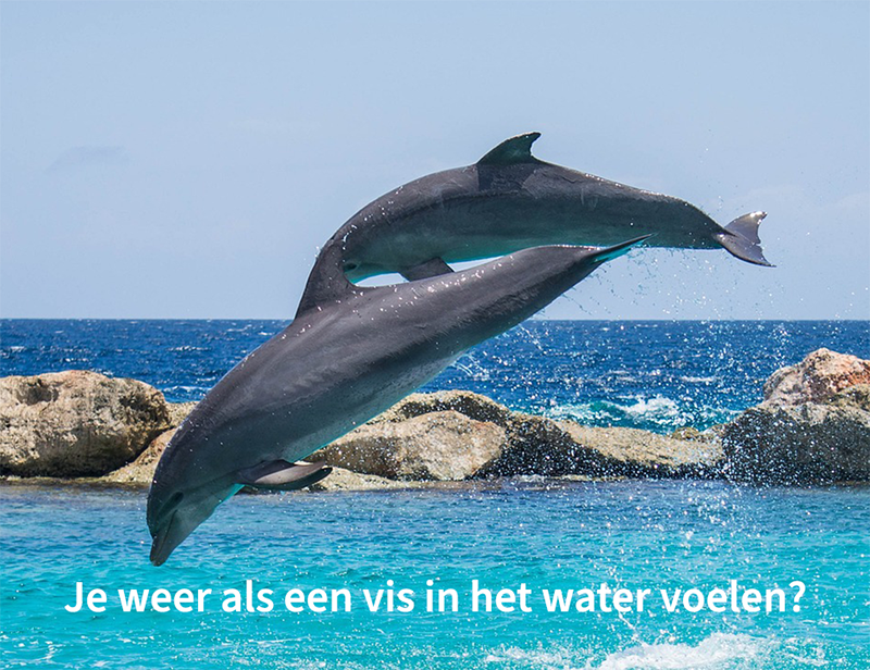 Als een vis in het water